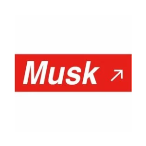 Santa Musk
